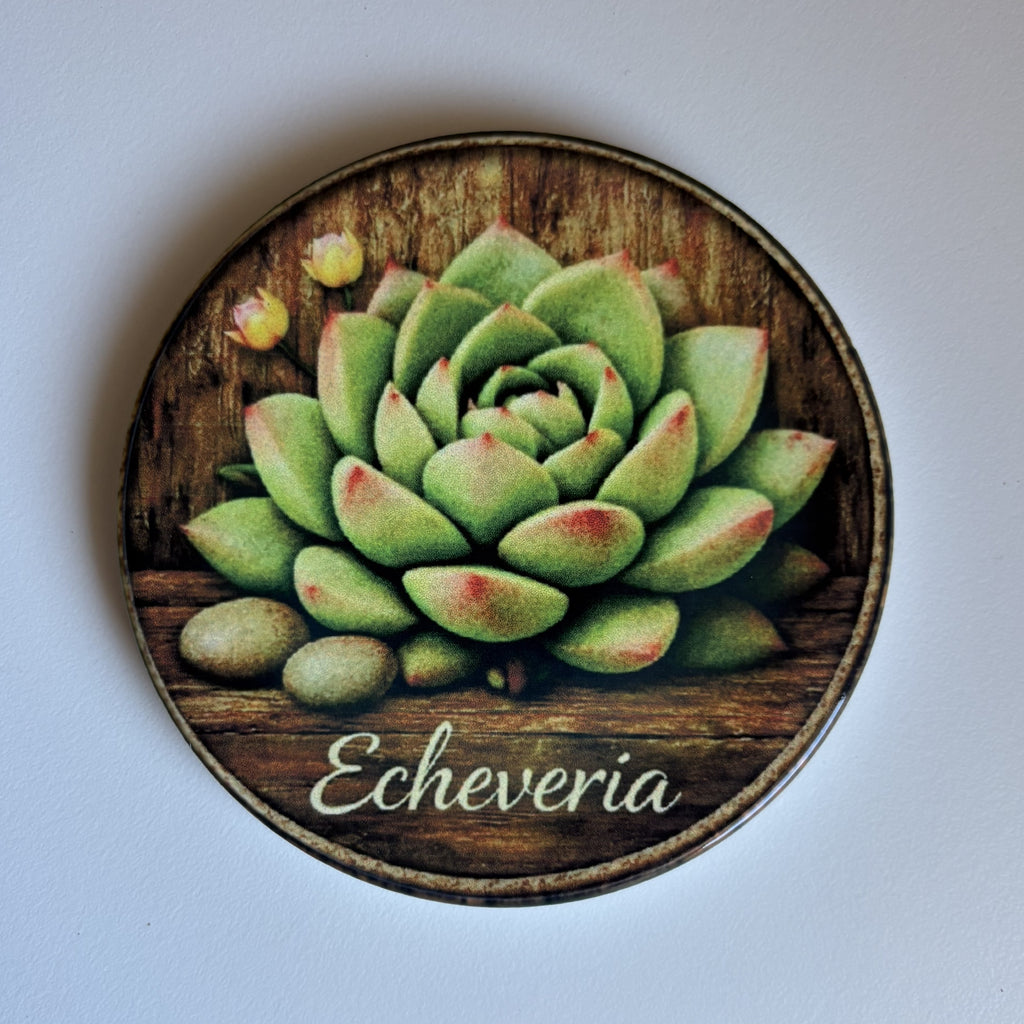 A round coaster featuring a painted green Echeveria succulent on a rustic wood-grain background, with the word 'Echeveria' written in white script at the bottom, shown on a black background.