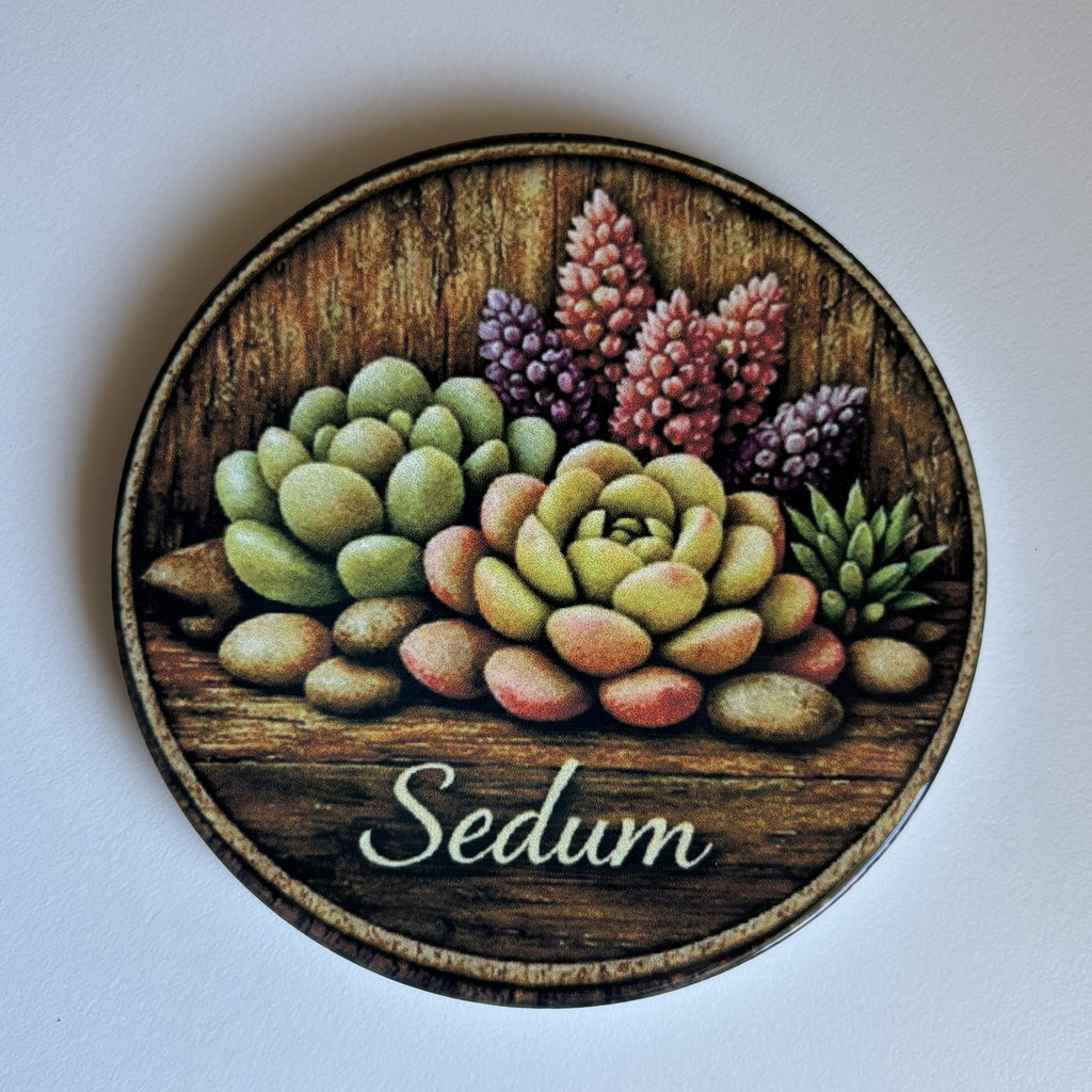 A round wooden coaster featuring a illustration of various succulent plants with the word 'Sedum' written in elegant script at the bottom, set against a dark background.