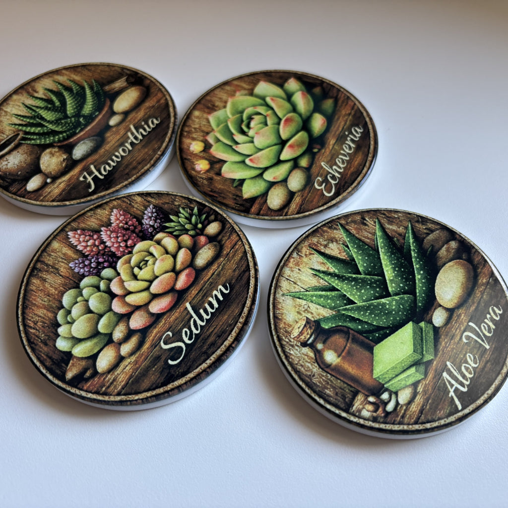 Four round succulent-themed coasters arranged on a white surface, each showing a different succulent illustration with the plant name written in script: Haworthia, Echeveria, Aloe Vera, and Sedum.