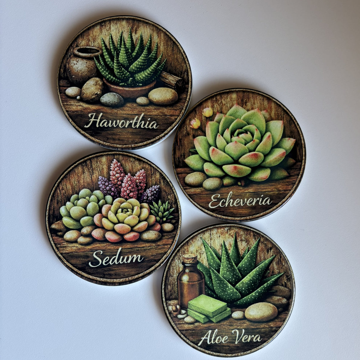 Four round succulent-themed coasters arranged on a white surface, each showing a different succulent illustration with the plant name written in script: Haworthia, Echeveria, Aloe Vera, and Sedum.