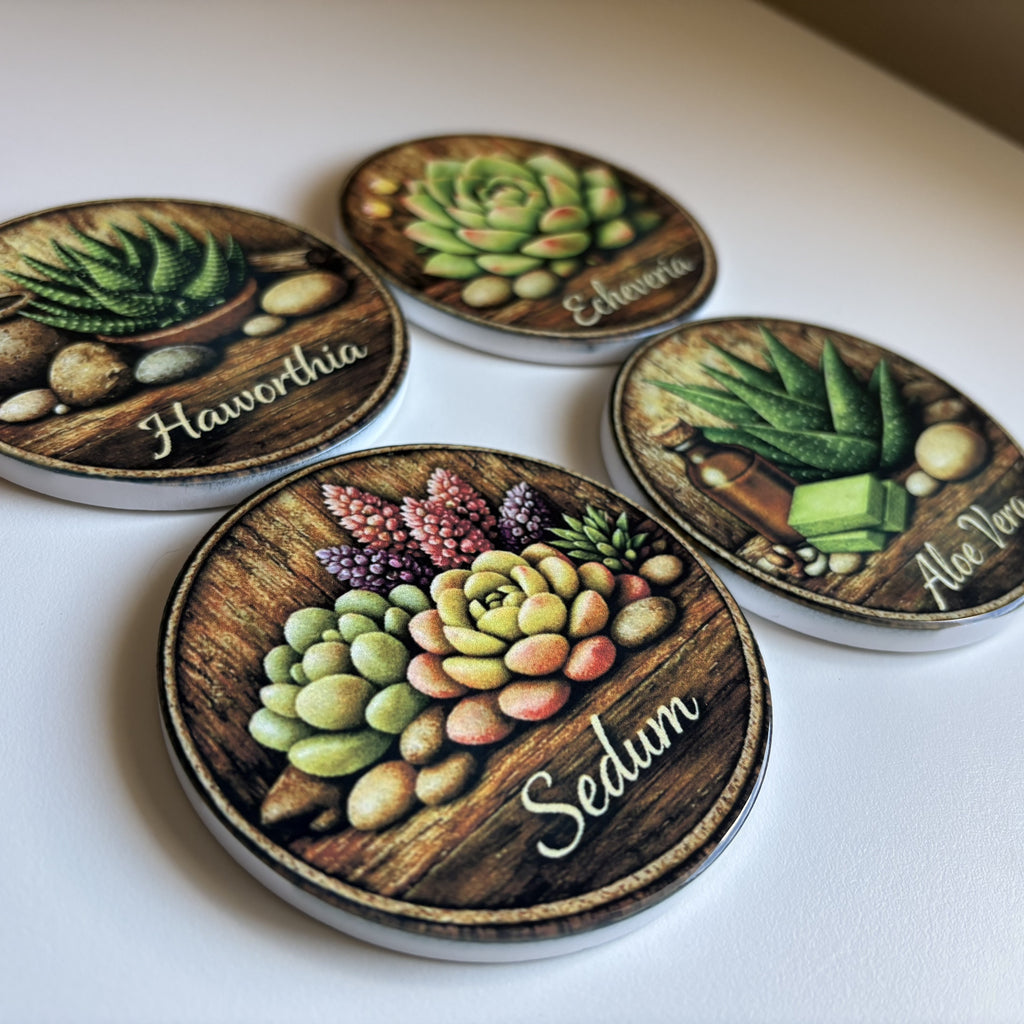 Four round succulent-themed coasters arranged on a white surface, each showing a different succulent illustration with the plant name written in script: Haworthia, Echeveria, Aloe Vera, and Sedum.
